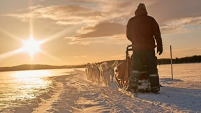 Randis Rennen durch Schnee und Eis