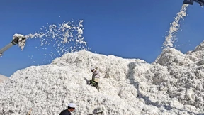 Europaparlament will Einfuhrverbot für Waren aus Zwangsarbeit