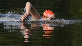 Zwischen Enten, Schilf und Quallen