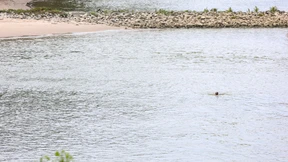 Auch Neuss verbietet das Baden im Rhein
