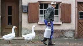 Die Milchkanne der Ministerin