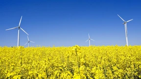 Wie die grüne Wirtschaft finanziert werden könnte