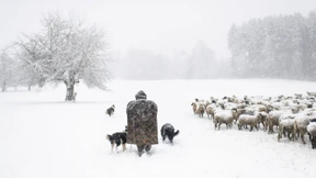 Noch einmal ein Meter Neuschnee
