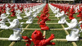 Land mit tiefen Wurzeln