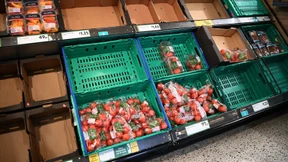 Königreich ohne Tomaten