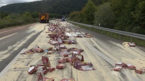 Like Reis in the Sunshine