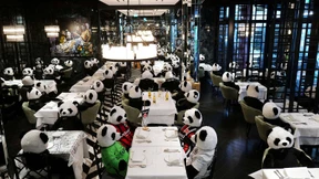 Unternehmer und Steuerberater sind sauer