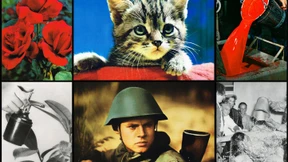 Brüssel in Köln zu Gast