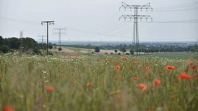 Studie: Viel zu wenig Naturschutz