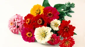 Die Inflation des Danks