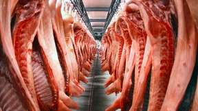 Fleischindustrie im März 2020 mit Umsatzrekord