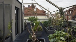 Alles Grüne kommt von oben