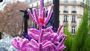 In Paris trägt auch die Tanne gern Farbe