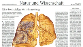 Eine kostspielige Verstümmelung