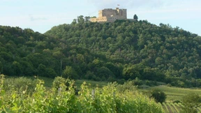 Hinauf, hinauf zum Schloss!