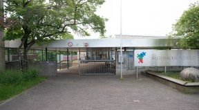 Lehrer fordern Schließung wegen Schimmels