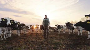Vorsicht bei Hochzinsanleihen
