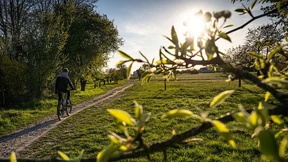 Corona ist auf dem Rückzug