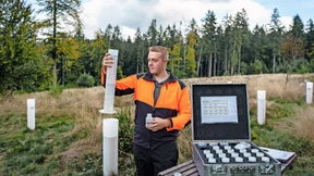 Was den deutschen Wald stresst