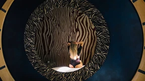 Sex ist auch nur eine Arbeit