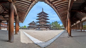 Warum reist der Mensch?