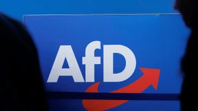 Rein in die Atomkraft, raus aus dem Euro: Das will die AfD