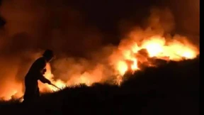 Frau zündet neuseeländische Insel an