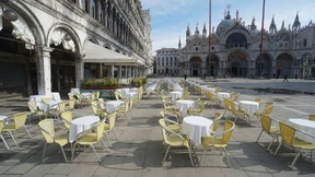 Die Möwen fühlen sich pudelwohl