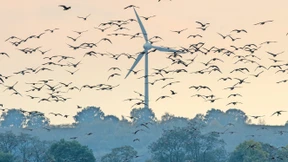 So kann Windkraftausbau nicht gelingen