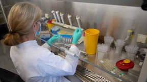 Virus-Varianten wohl weiter verbreitet als bekannt