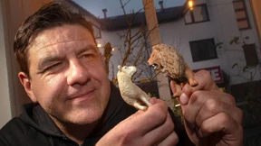 Mit Löwe und Schaf gegen Stress