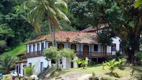 Zwischen Affen und Papageien