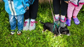 Daheim, weg, daheim, wieder weg