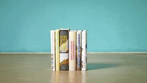 Wie wir uns verzwergen