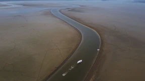 Mehr als 100 tote Flussdelfine im Amazonasgebiet entdeckt