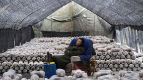 Rechnung ohne den chinesischen Wirt 