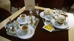 Kleine Braune dringend gesucht