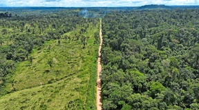 Mercosur-Verhandlungen stocken