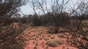 Zweiter Überlebender nach zwei Wochen im Outback gefunden