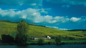 Wonneproppen gehören nicht ins Glas