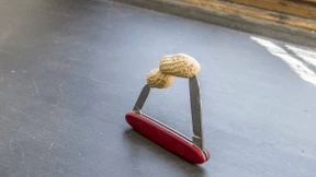 Nebel, Alkohol, grenzenlose Einsamkeit