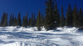 Der Gipfel der Freiheit