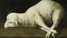 Ein Evergreen für die Augen