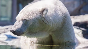 Uns steht ein heißes Wochenende bevor