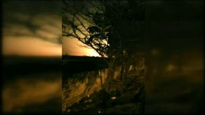 Handy-Bilder zeigen Flugzeugabsturz in Teheran