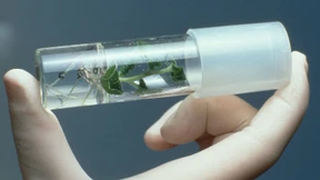 Bauern machen gegen Bayer mobil