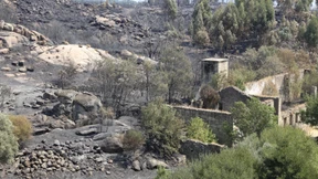 Vierter Toter bei Waldbränden in Portugal