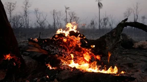 „Morales lässt Boliviens Zukunft verbrennen“