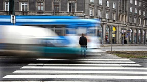 Östlich der Weichsel gibt es keine Tintenfische