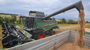 Frost und Regen vermiesen Landwirten die Ernte